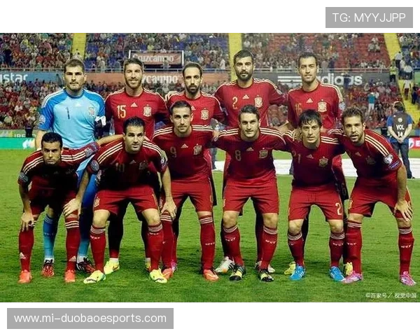 全球足球五大国家队5号球星名单及其精彩表现分析